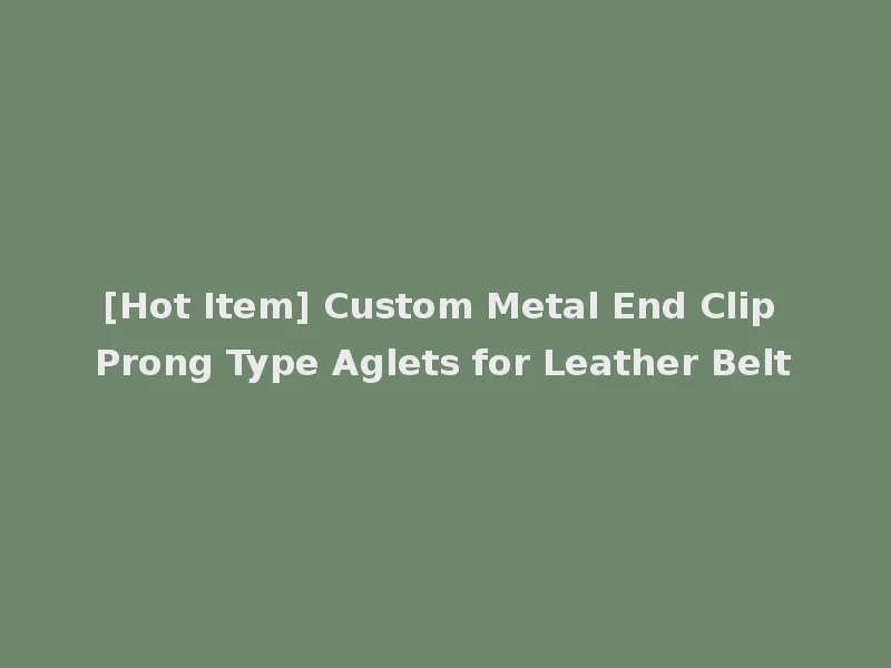 [Hot Item] Custom Metal End Clip Prong Type Aglets for Leather Belt