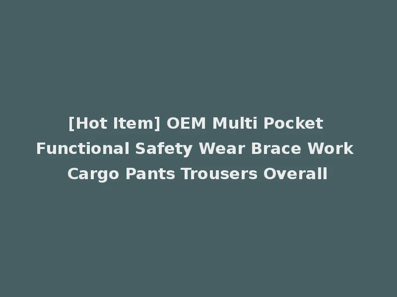 [Hot Item] OEM Multi Pocket Functional Safety Wear Brace Work Cargo Pants Trousers Overall