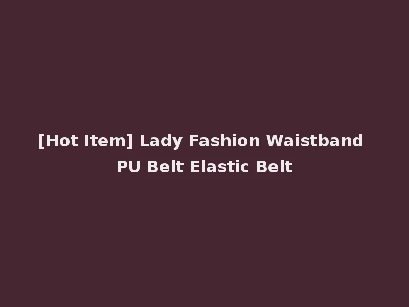 [Hot Item] Lady Fashion Waistband PU Belt Elastic Belt