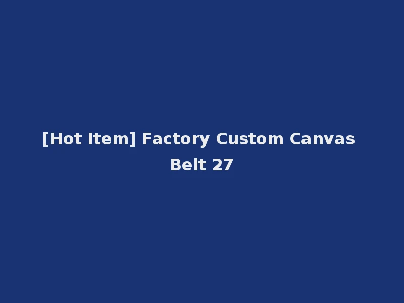 [Hot Item] Factory Custom Canvas Belt 27