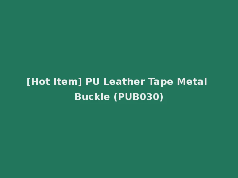 [Hot Item] PU Leather Tape Metal Buckle (PUB030)