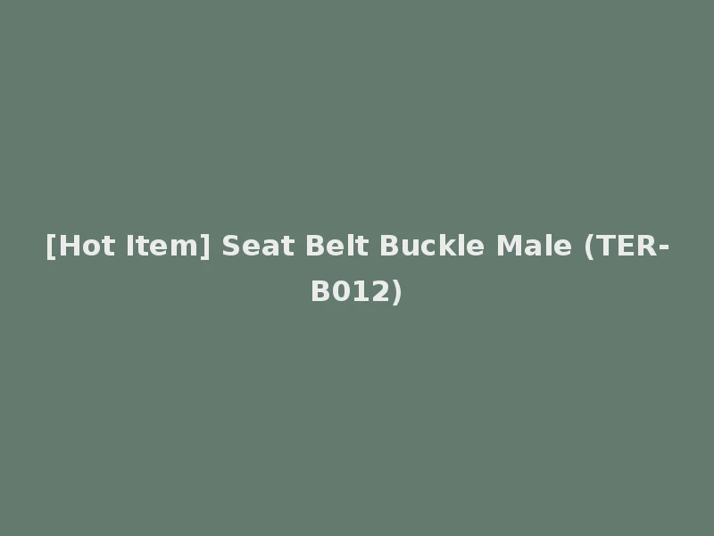 [Hot Item] Seat Belt Buckle Male (TER-B012)