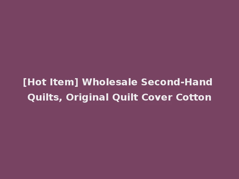 [Hot Item] Wholesale Second-Hand Quilts, Original Quilt Cover Cotton