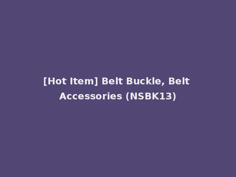 [Hot Item] Belt Buckle, Belt Accessories (NSBK13)