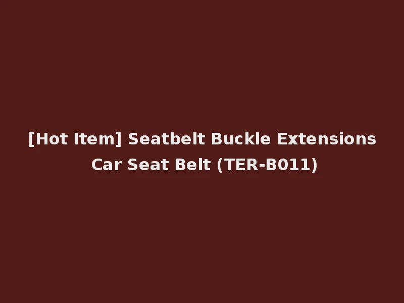 [Hot Item] Seatbelt Buckle Extensions Car Seat Belt (TER-B011)