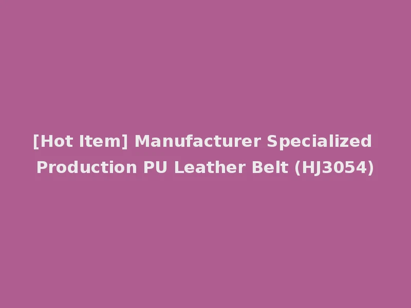 [Hot Item] Manufacturer Specialized Production PU Leather Belt (HJ3054)