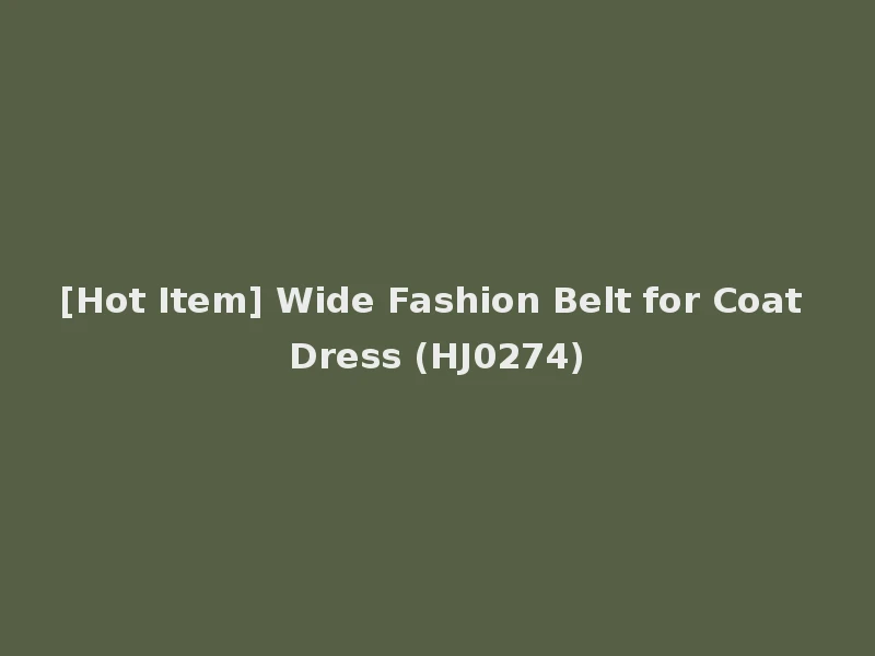 [Hot Item] Wide Fashion Belt for Coat Dress (HJ0274)