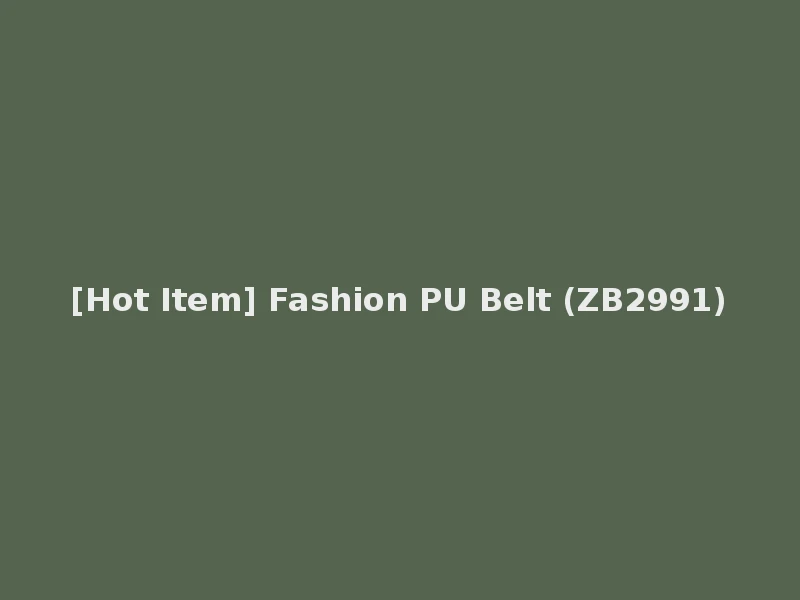 [Hot Item] Fashion PU Belt (ZB2991)