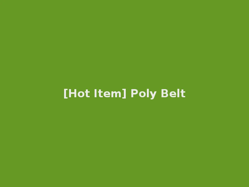 [Hot Item] Poly Belt