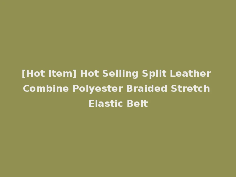 [Hot Item] Hot Selling Split Leather Combine Polyester Braided Stretch Elastic Belt