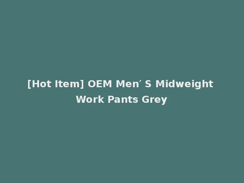 [Hot Item] OEM Men′ S Midweight Work Pants Grey