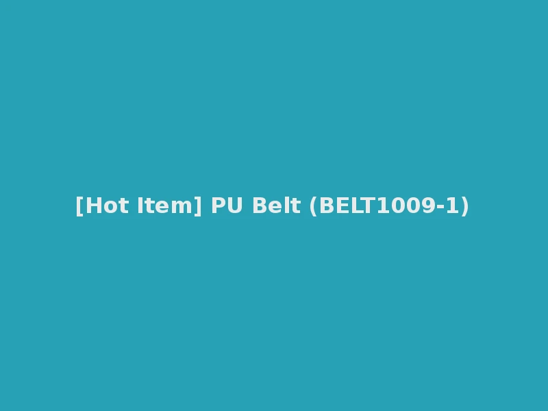 [Hot Item] PU Belt (BELT1009-1)