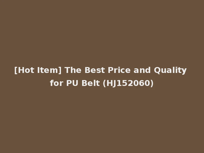 [Hot Item] The Best Price and Quality for PU Belt (HJ152060)