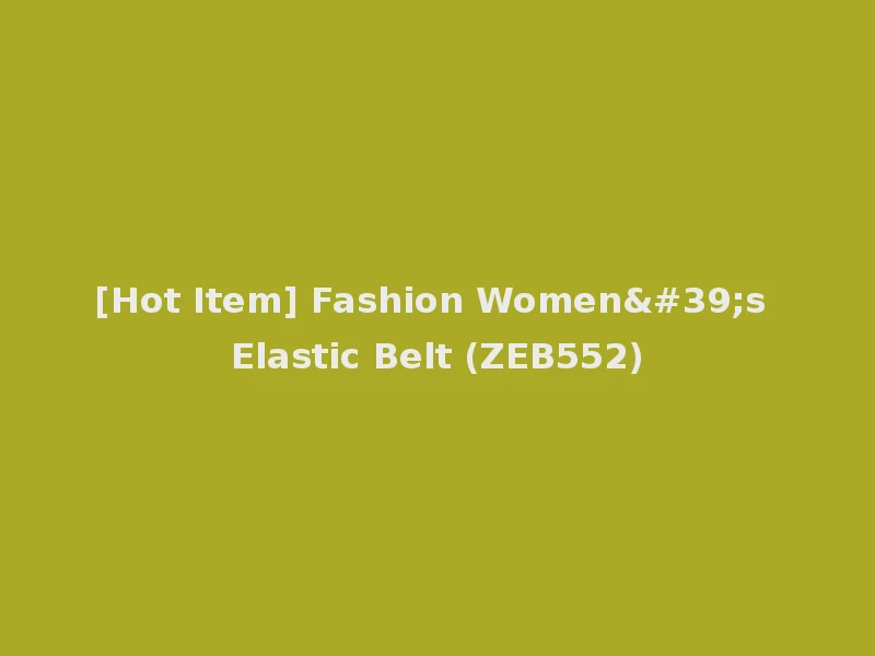 [Hot Item] Fashion Women's Elastic Belt (ZEB552)