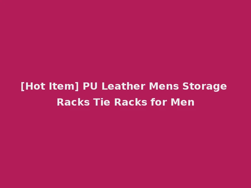 [Hot Item] PU Leather Mens Storage Racks Tie Racks for Men