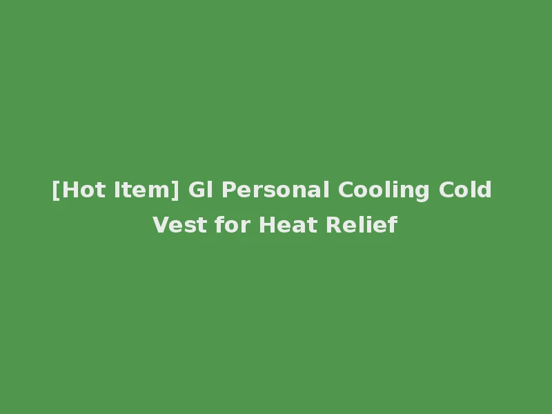 [Hot Item] Gl Personal Cooling Cold Vest for Heat Relief