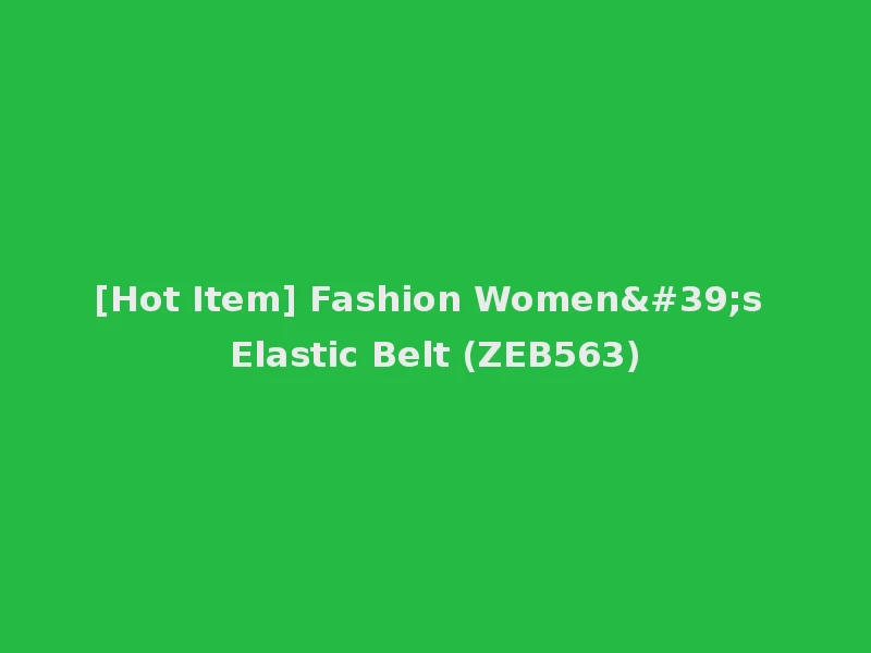 [Hot Item] Fashion Women's Elastic Belt (ZEB563)
