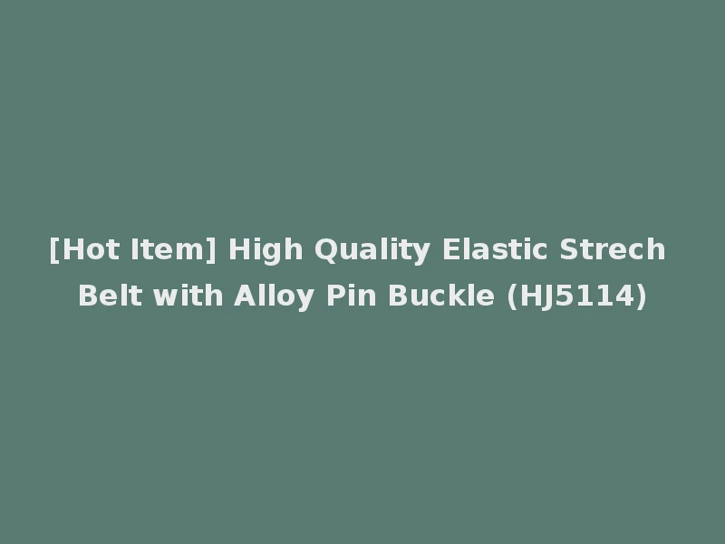[Hot Item] High Quality Elastic Strech Belt with Alloy Pin Buckle (HJ5114)