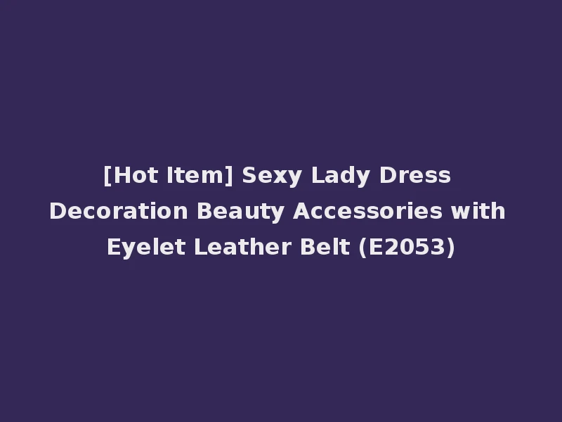 [Hot Item] Sexy Lady Dress Decoration Beauty Accessories with Eyelet Leather Belt (E2053)