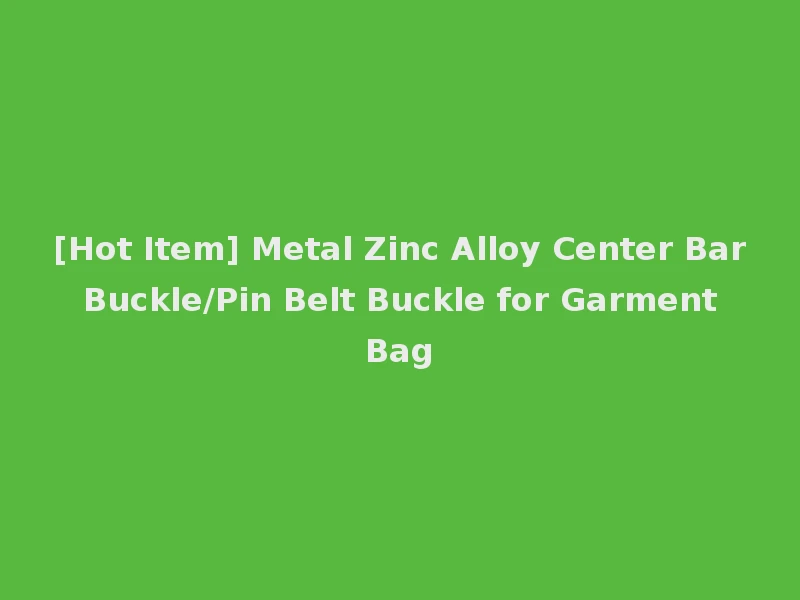 [Hot Item] Metal Zinc Alloy Center Bar Buckle/Pin Belt Buckle for Garment Bag