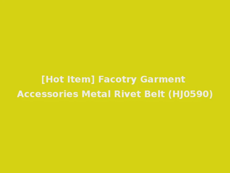 [Hot Item] Facotry Garment Accessories Metal Rivet Belt (HJ0590)