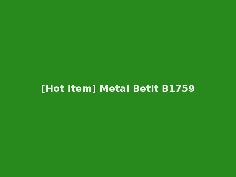 [Hot Item] Metal Betlt B1759