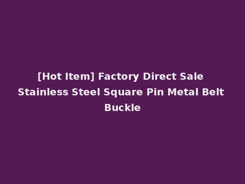[Hot Item] Factory Direct Sale Stainless Steel Square Pin Metal Belt Buckle