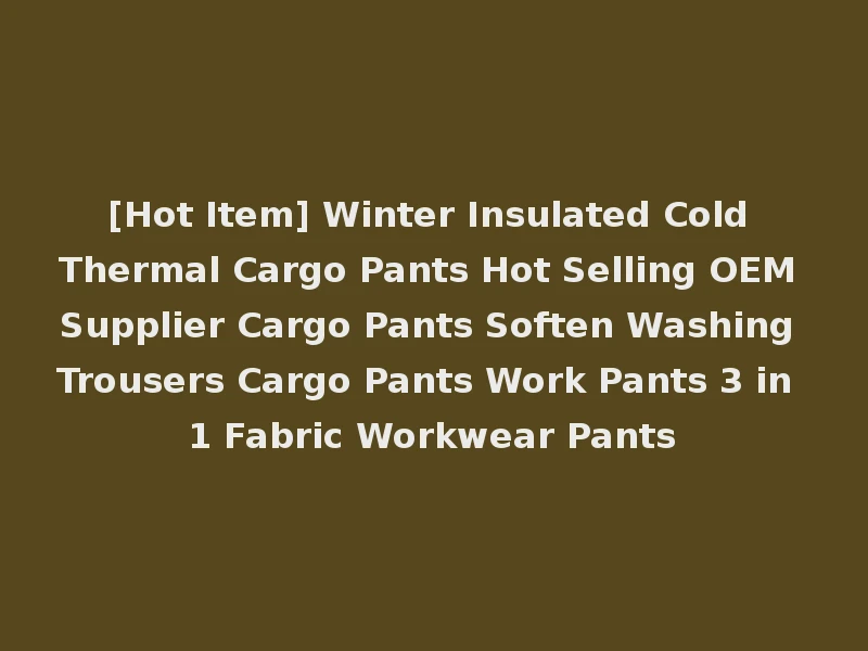 [Hot Item] Winter Insulated Cold Thermal Cargo Pants Hot Selling OEM Supplier Cargo Pants Soften Washing Trousers Cargo Pants Work Pants 3 in 1 Fabric Workwear Pants