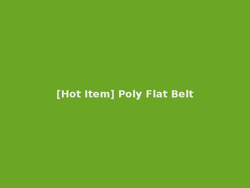 [Hot Item] Poly Flat Belt