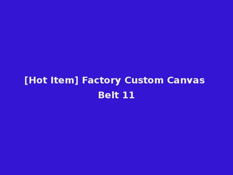 [Hot Item] Factory Custom Canvas Belt 11