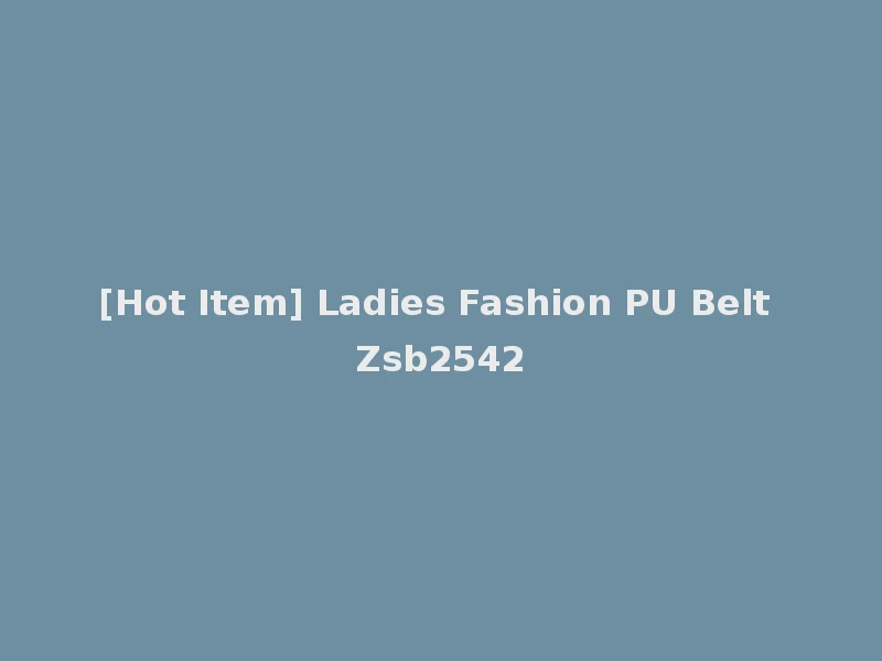 [Hot Item] Ladies Fashion PU Belt Zsb2542