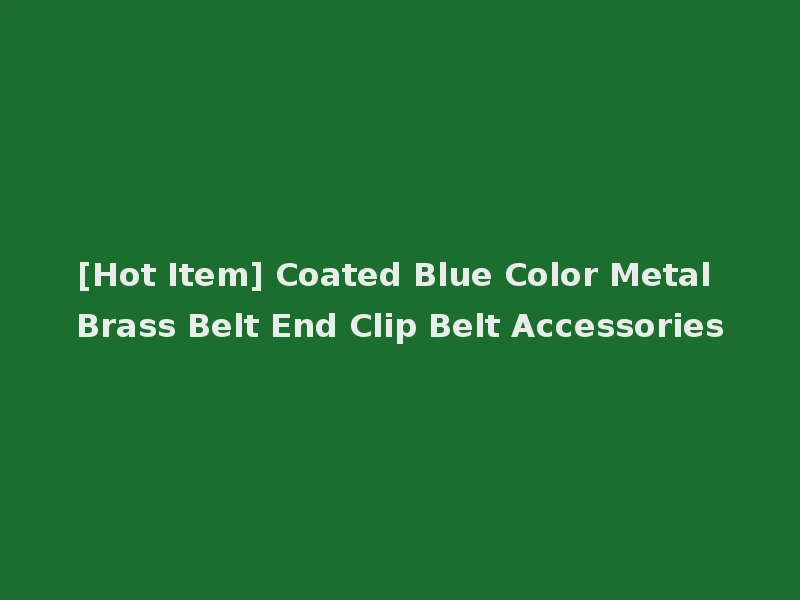 [Hot Item] Coated Blue Color Metal Brass Belt End Clip Belt Accessories