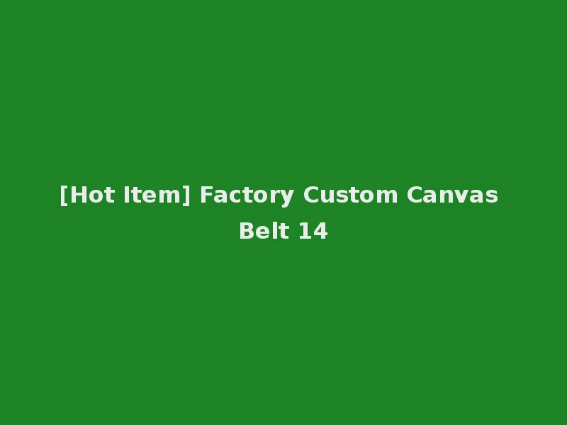 [Hot Item] Factory Custom Canvas Belt 14