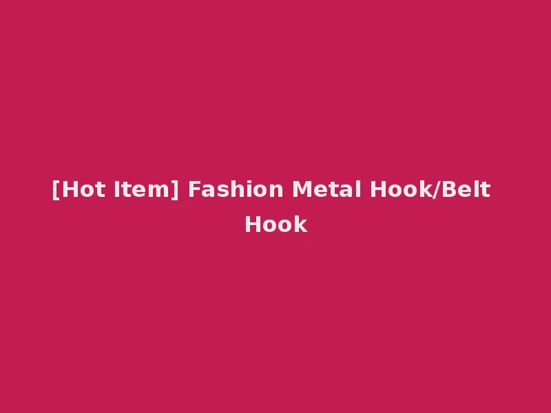 [Hot Item] Fashion Metal Hook/Belt Hook