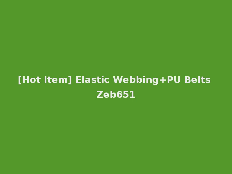 [Hot Item] Elastic Webbing+PU Belts Zeb651