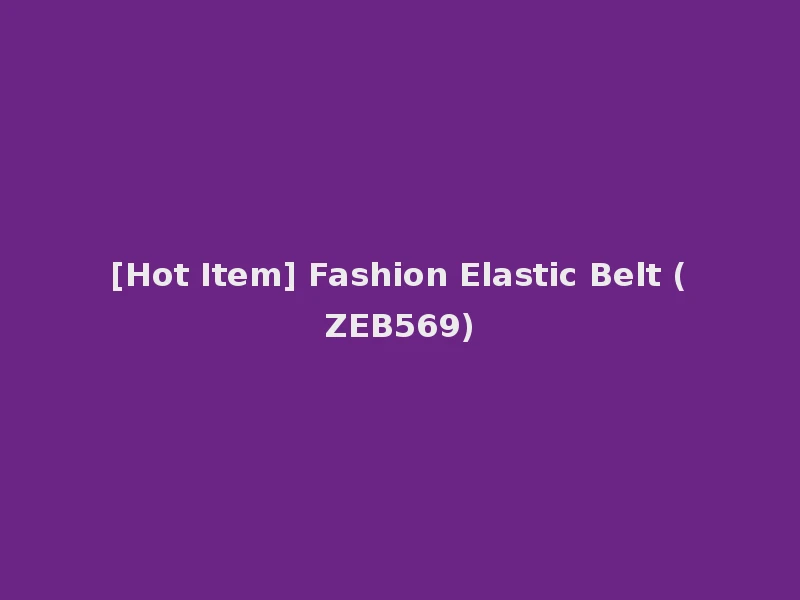 [Hot Item] Fashion Elastic Belt (ZEB569)