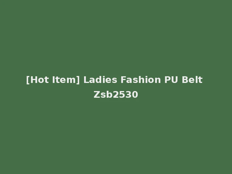 [Hot Item] Ladies Fashion PU Belt Zsb2530