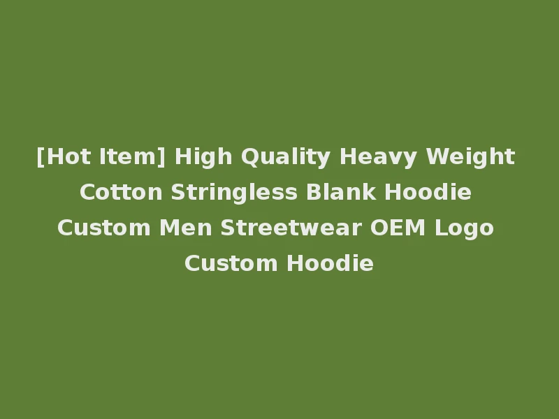 [Hot Item] High Quality Heavy Weight Cotton Stringless Blank Hoodie Custom Men Streetwear OEM Logo Custom Hoodie