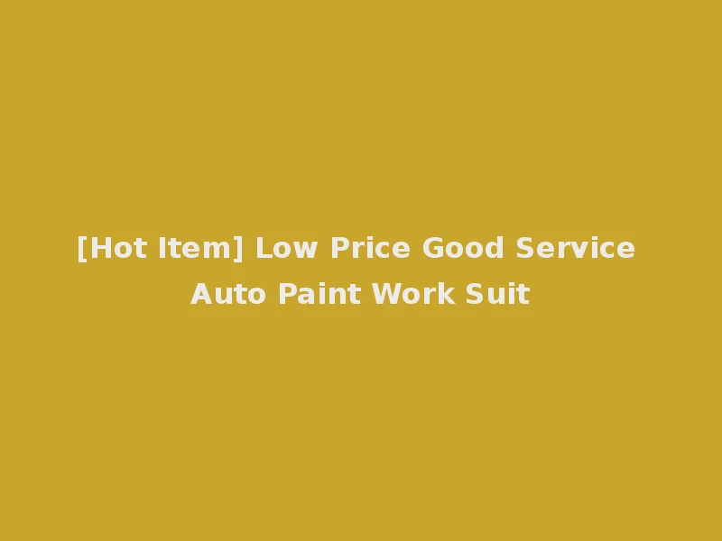 [Hot Item] Low Price Good Service Auto Paint Work Suit