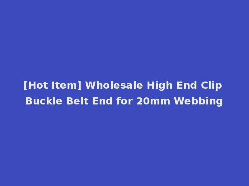 [Hot Item] Wholesale High End Clip Buckle Belt End for 20mm Webbing