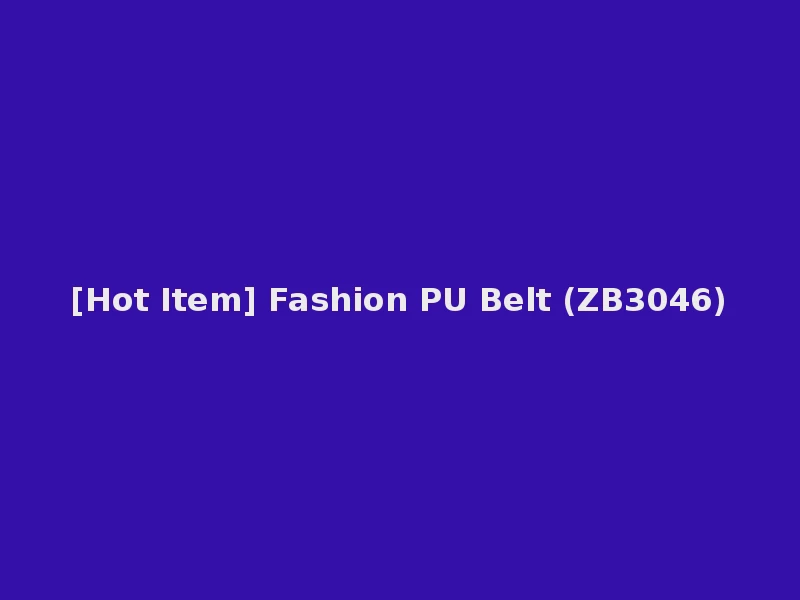 [Hot Item] Fashion PU Belt (ZB3046)