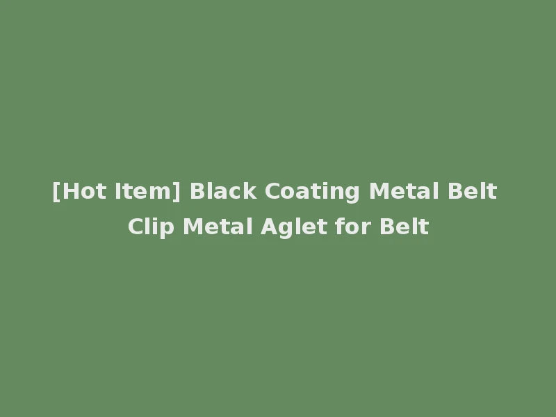 [Hot Item] Black Coating Metal Belt Clip Metal Aglet for Belt