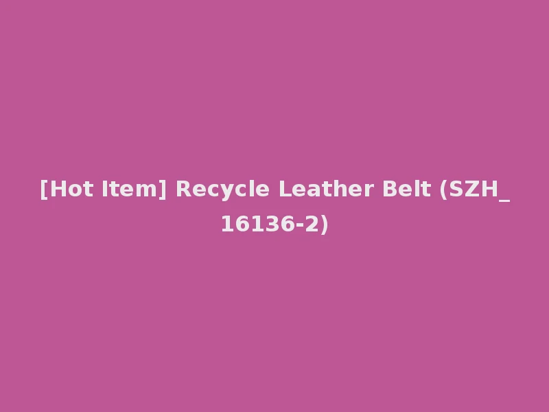 [Hot Item] Recycle Leather Belt (SZH_16136-2)
