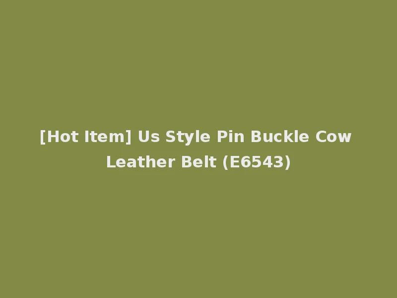 [Hot Item] Us Style Pin Buckle Cow Leather Belt (E6543)
