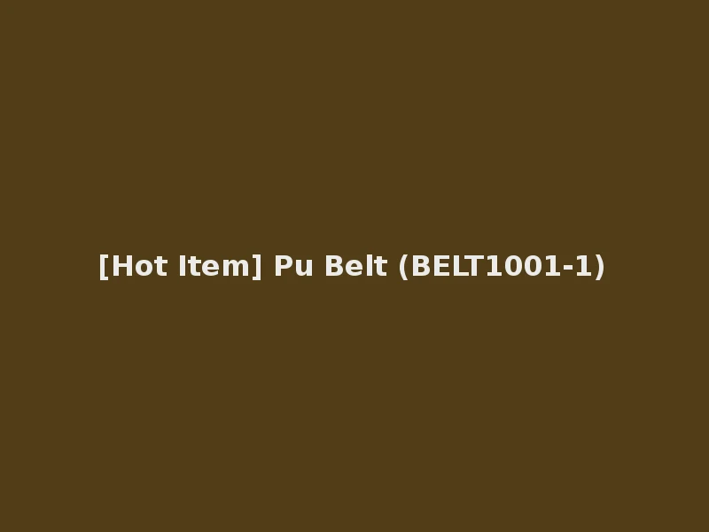 [Hot Item] Pu Belt (BELT1001-1)