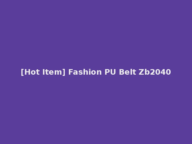 [Hot Item] Fashion PU Belt Zb2040