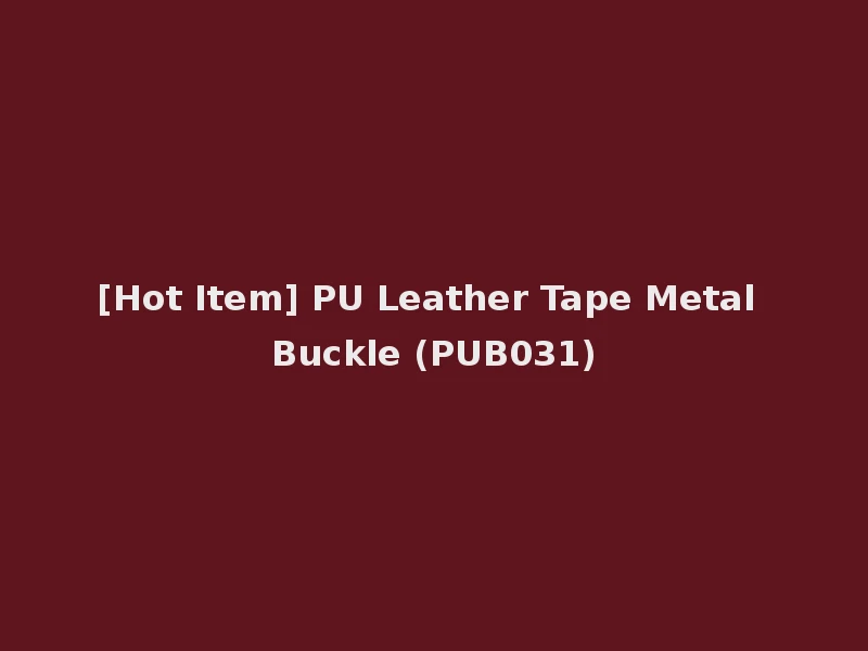 [Hot Item] PU Leather Tape Metal Buckle (PUB031)