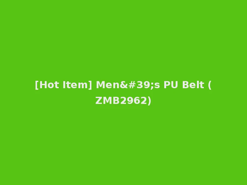 [Hot Item] Men's PU Belt (ZMB2962)