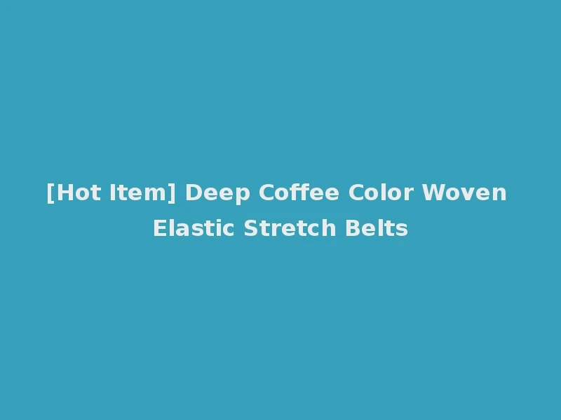 [Hot Item] Deep Coffee Color Woven Elastic Stretch Belts