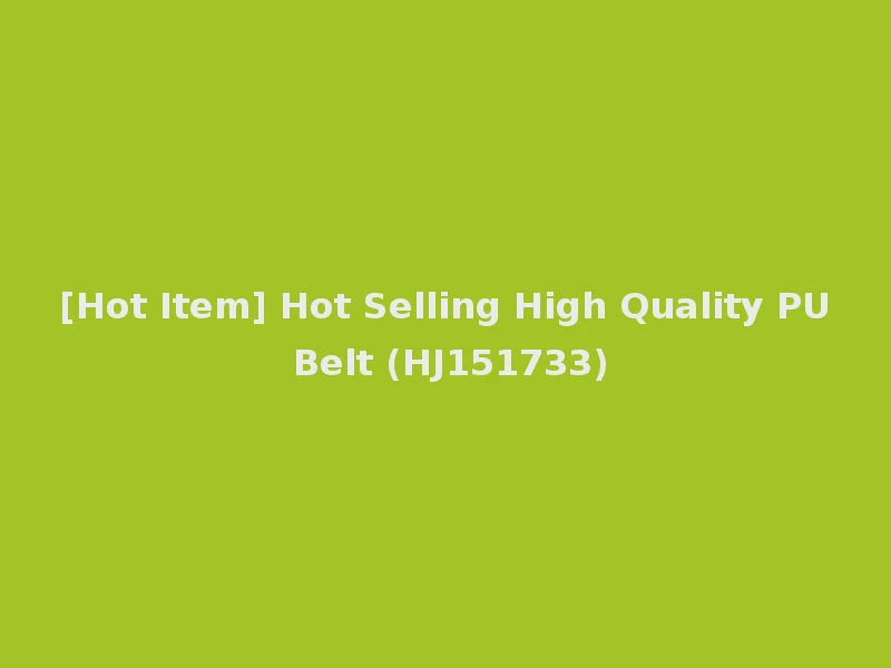 [Hot Item] Hot Selling High Quality PU Belt (HJ151733)